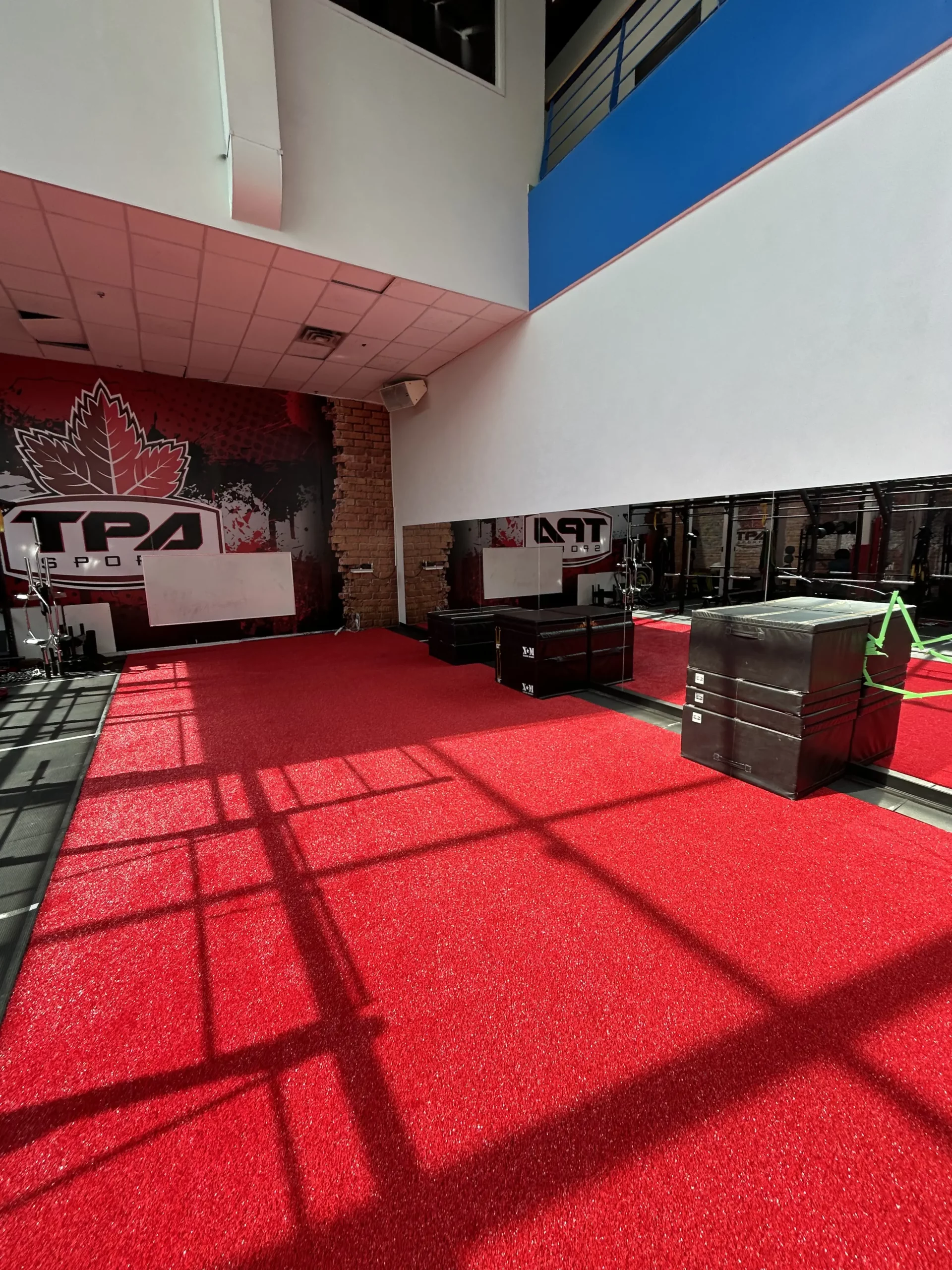 Synthetic grass lawn installed in the GTA